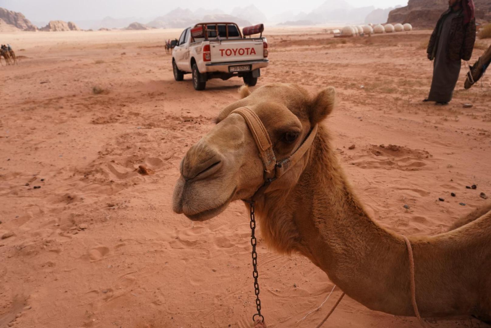 Shaheen Camp Wadi Rum Ngoại thất bức ảnh