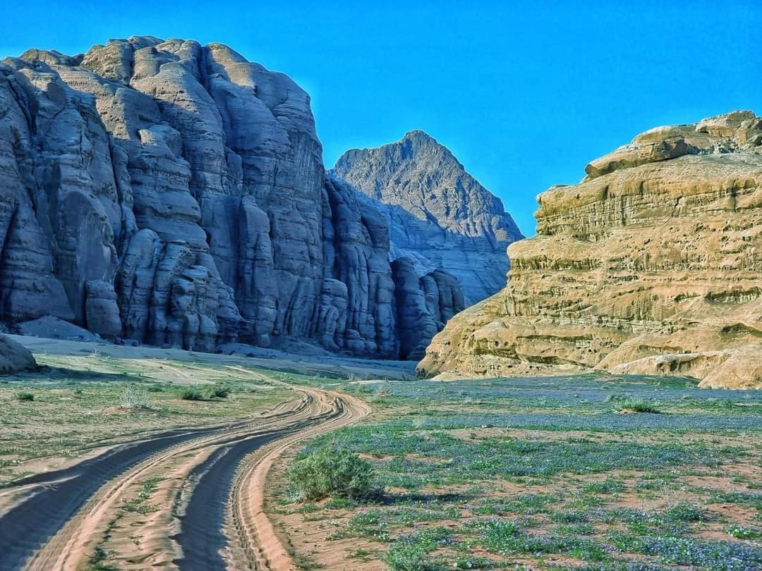 Shaheen Camp Wadi Rum Ngoại thất bức ảnh