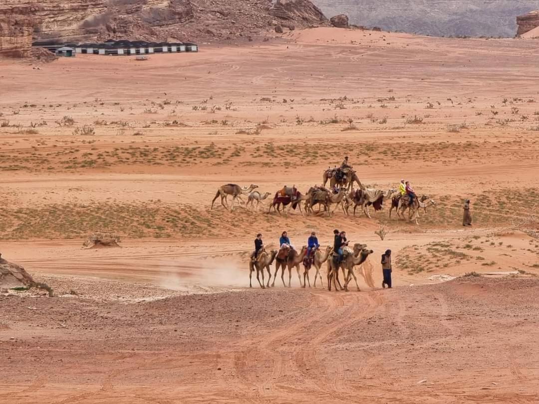 Shaheen Camp Wadi Rum Ngoại thất bức ảnh
